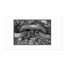 Imagen blanco y negro de la cadena tarjeta de visita