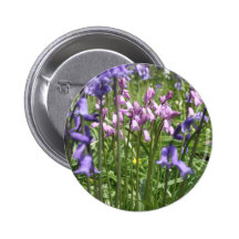 Imagen de los Bluebells Pins
