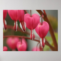 Imagen de los corazones sangrantes impresiones