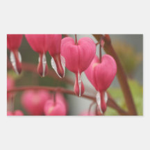 Imagen de los corazones sangrantes pegatina