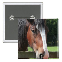 Imagen de un Pin cuarto del cuadrado del caballo