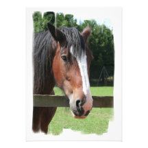 Imagen de una invitación cuarta del caballo