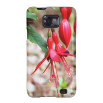 Imagen de Vivd Fuschia cárcasas casemate