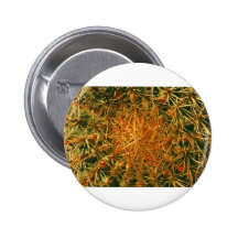 Imagen del cactus pins
