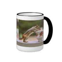 Imagen del Chipmunk con la taza de té de China