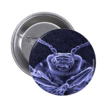 Imagen del escarabajo de hoja - microscopio electr pin