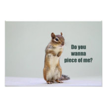 Imagen divertida del Chipmunk Arte Con Fotos