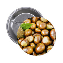Imagen hermosa de Conkers con una hoja Pins