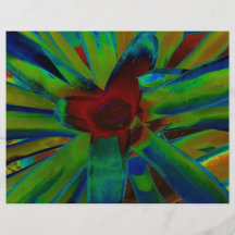 Imagen roja azulverde de la planta de Bromeliad Flyer A Todo Color