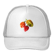 Imagen roja del amarillo anaranjado de tres pimien gorros  