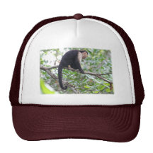 Imagen salvaje del mono gorros bordados