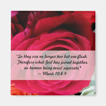 imagínese casarse de los rosas imanes  