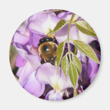 Imán #2 de las Abeja-Glicinias