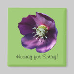 Imán adaptable del Hellebore imanes