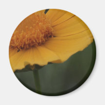 imán amarillo de la flor