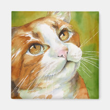 Imán anaranjado y blanco del gato
