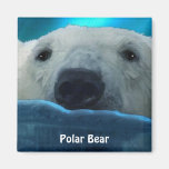 Imán ártico del arte de la fauna del oso polar que