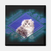 imán atractivo del cuadrado del gatito