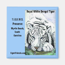 Imán blanco real del tigre de Bengala