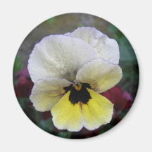 Imán blanco y amarillo del pensamiento