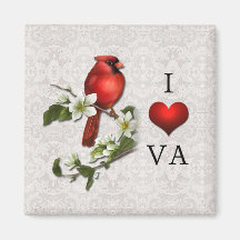 Imán cardinal rojo del Dogwood