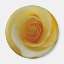 Imán color de rosa de 2 limones