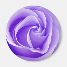 Imán color de rosa púrpura