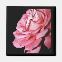 Imán color de rosa rosado