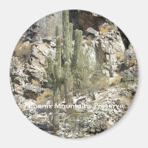 Imán/coto de las montañas de Phoenix