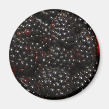 Imán de Blackberry