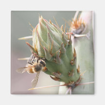 Imán de la abeja y del higo chumbo