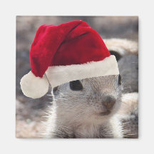 Imán de la ardilla de Santa