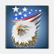 Imán de la bandera N Eagle