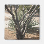 Imán de la botánica de Arizona