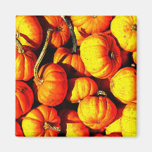 imán de la calabaza de la cosecha