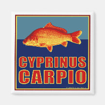 Imán de la carpa