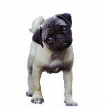 Imán de la escultura del perrito del barro amasado esculturas fotograficas