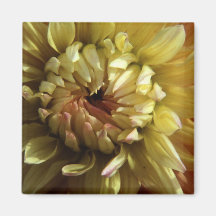 Imán de la flor