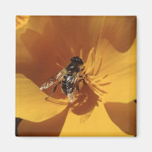 Imán de la flor