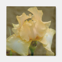 Imán de la flor