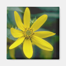 Imán de la flor