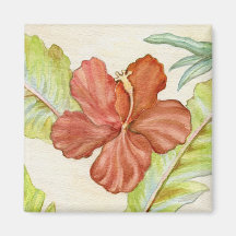 Imán de la flor del hibisco