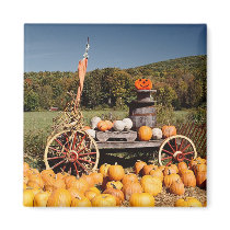 Imán de la granja de la calabaza de otoño imanes