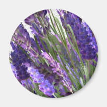 Imán de la lavanda