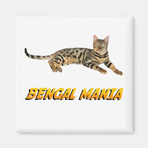 Imán de la manía de Bengala