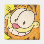 Imán de la mueca de Garfield