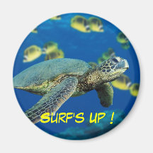 Imán de la tortuga de mar verde