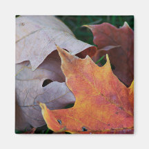 Imán de las hojas de otoño