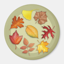 Imán de las hojas de otoño