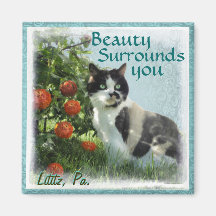 Imán de las inspiraciones del gatito